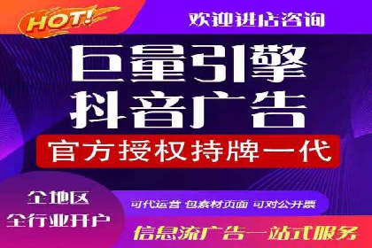 竞价广告策略案例分析